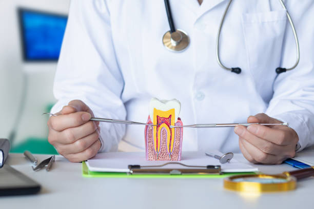 Best Pediatric Emergency Dentist in Pittsboro, IN